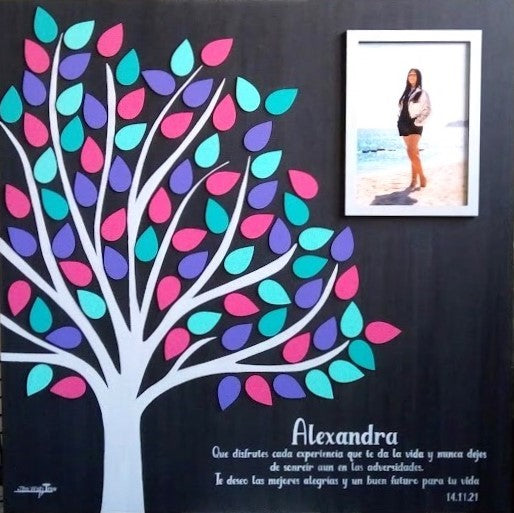 Cuadro para Firmas XV años